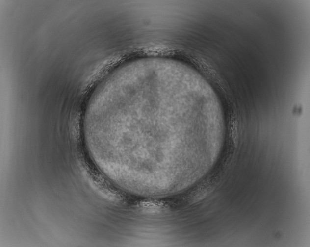 X0000114650690200911101321