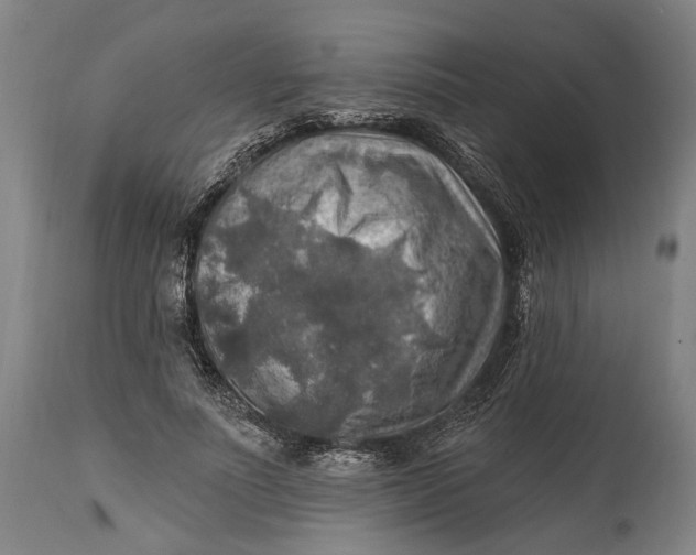 X0000114650691200911101321