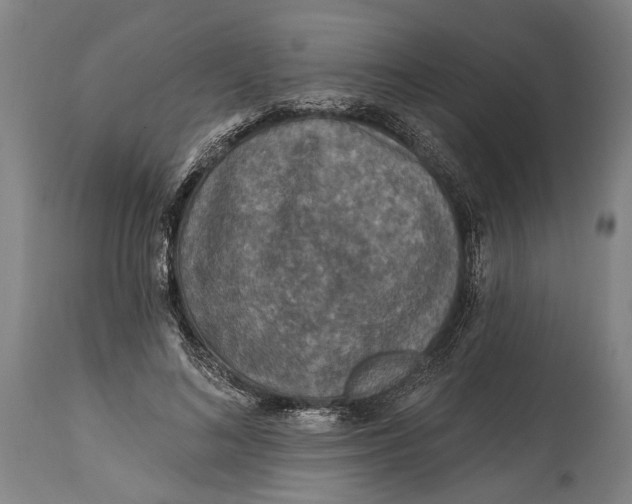 X0000114650692200911101321