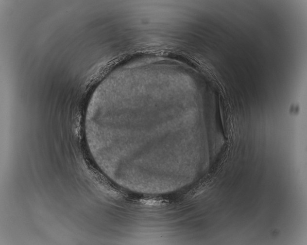 X0000114650693200911101321