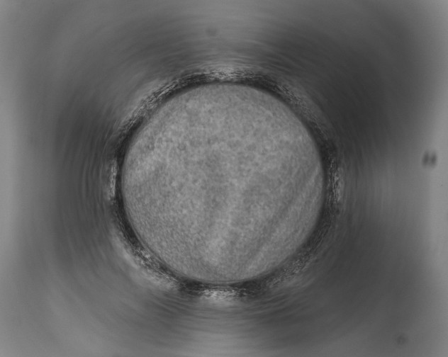 X0000114650694200911101321