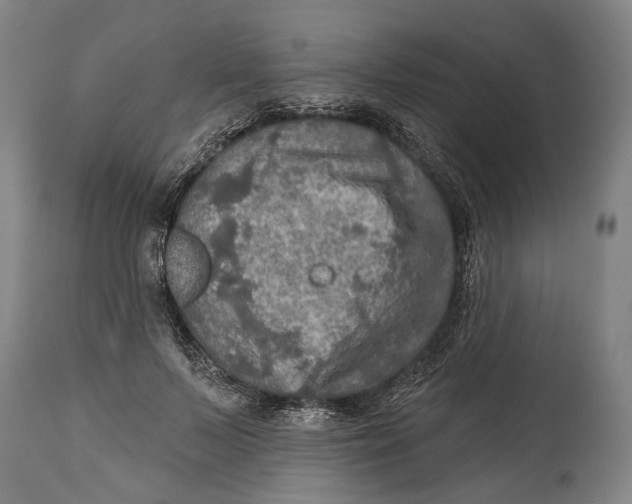 X0000114650695200911101321