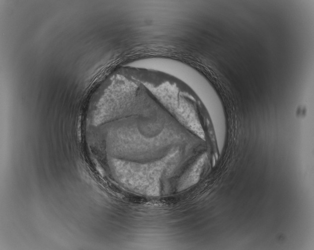 X0000114650696200911101321