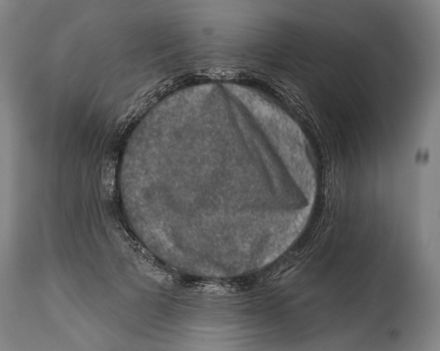 X0000114650697200911101321