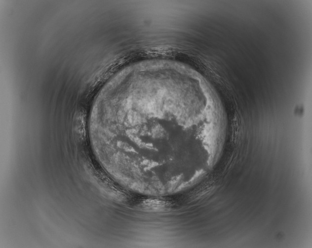 X0000114650699200911101321