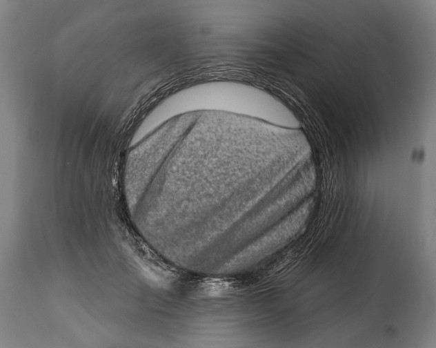 X0000114650701200911101321