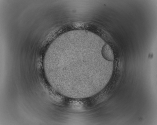 X0000114650702200911101321