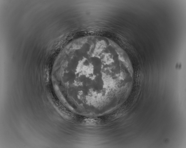 X0000114650703200911101321