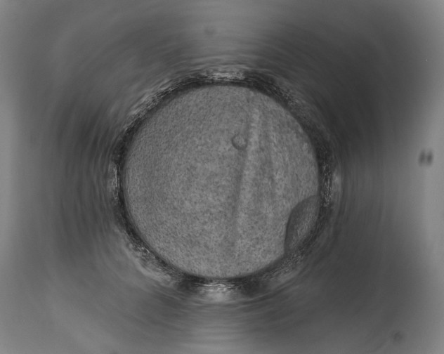 X0000114650704200911101321