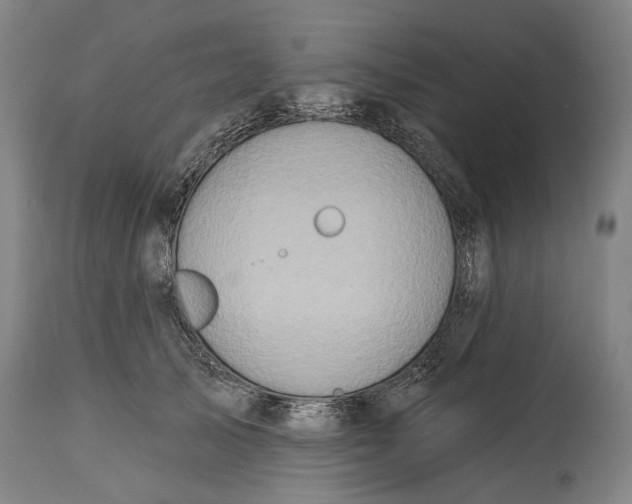 X0000114650705200911101321