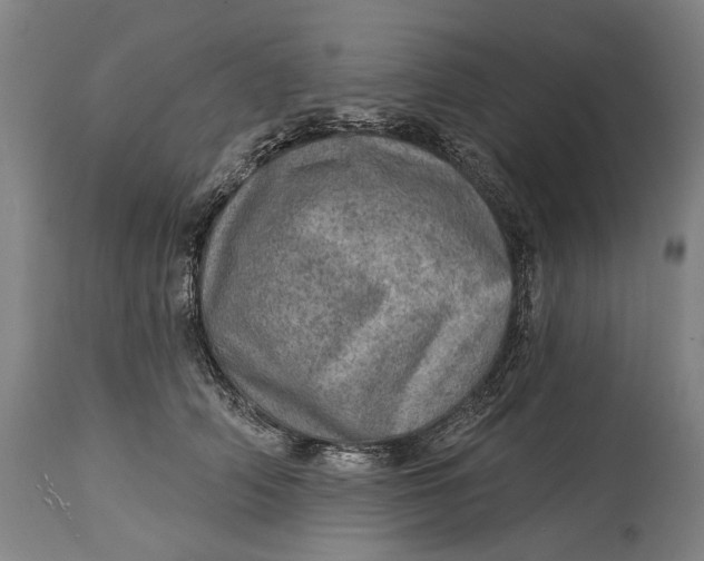 X0000114650706200911101321