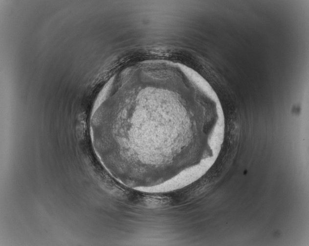 X0000114650707200911101321