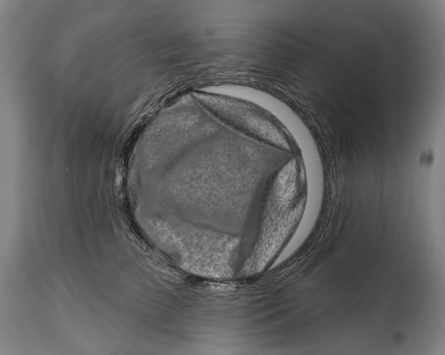 X0000114650709200911101321