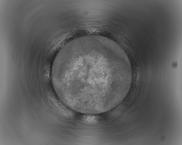 X0000114650710200911101321