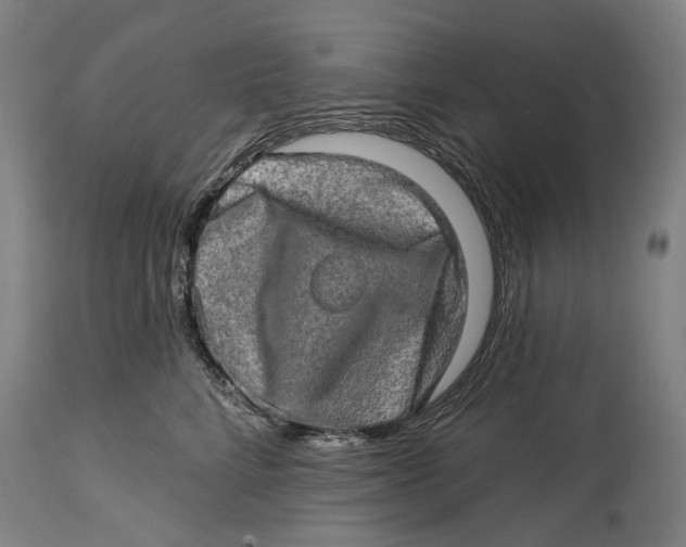 X0000114650712200911101320