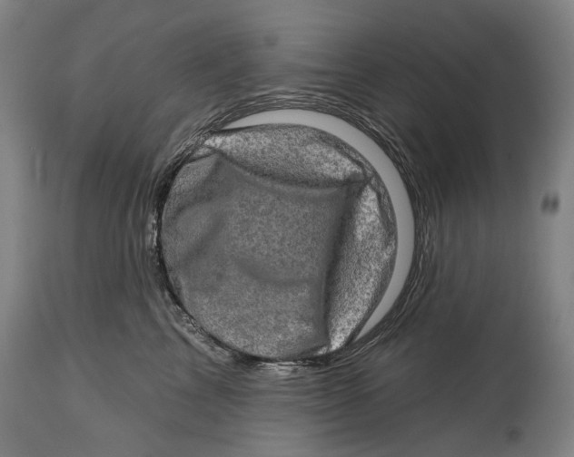 X0000114650713200911101320