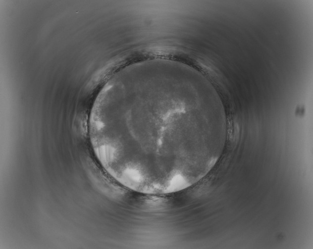 X0000114650718200911101320