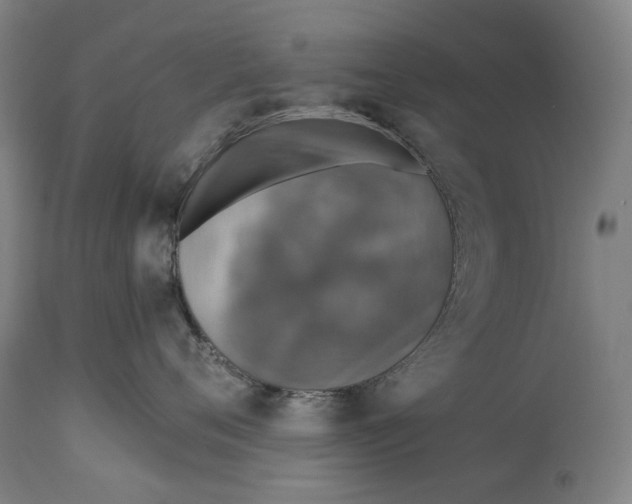 X0000114650720200911101320