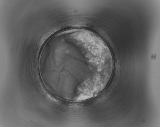 X0000114650721200911101320