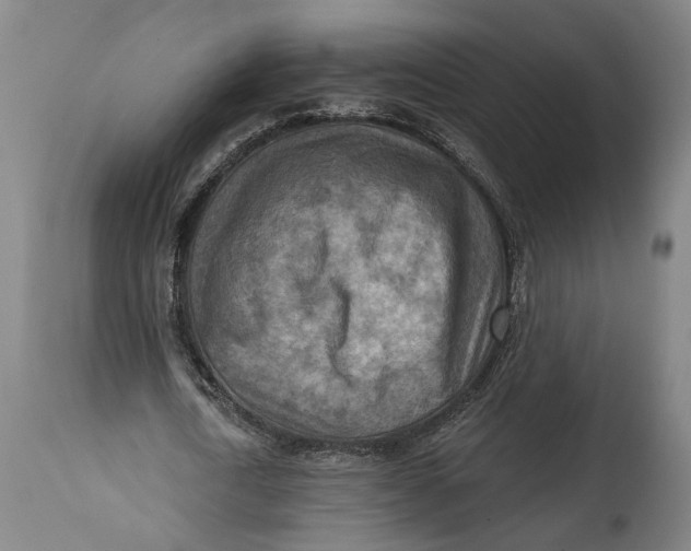 X0000114650722200911101320