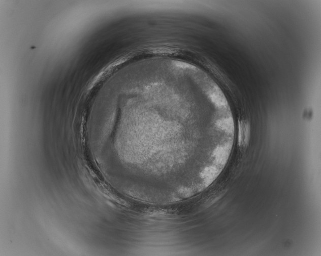 X0000114650723200911101320