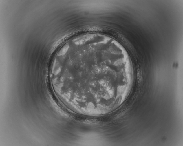 X0000114650725200911101320