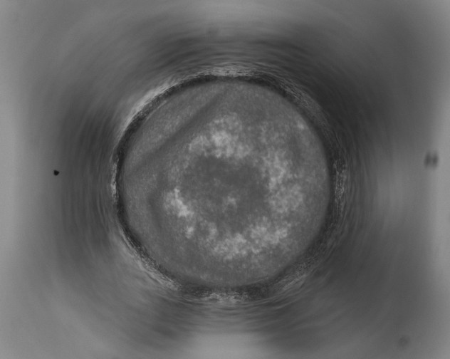 X0000114650727200911101320