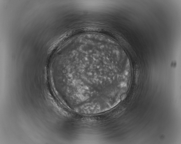 X0000114650729200911101320