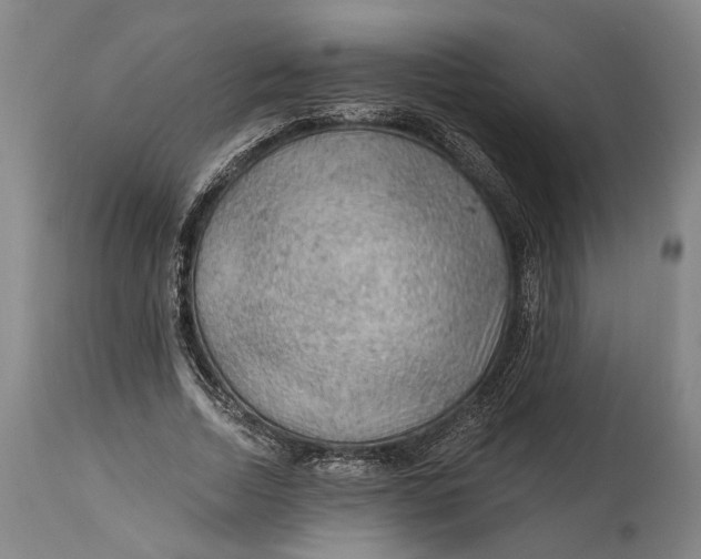 X0000114650730200911101320