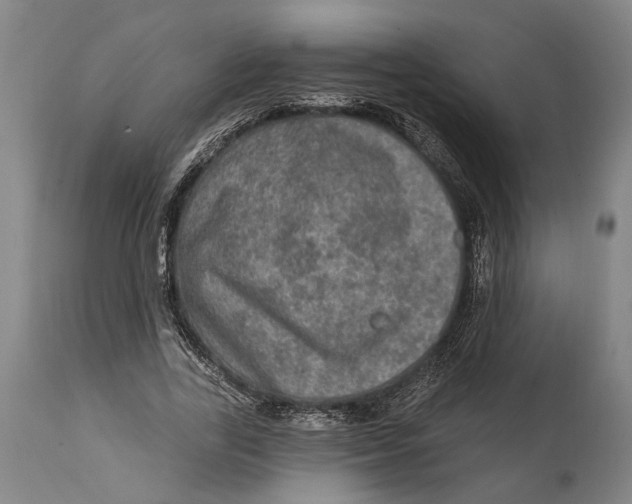 X0000114650731200911101320