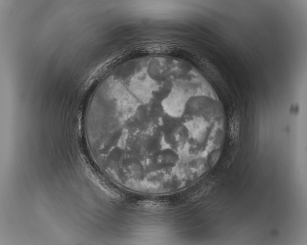 X0000114650733200911101320