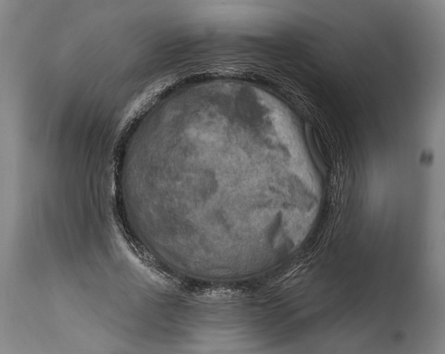 X0000114650734200911101320