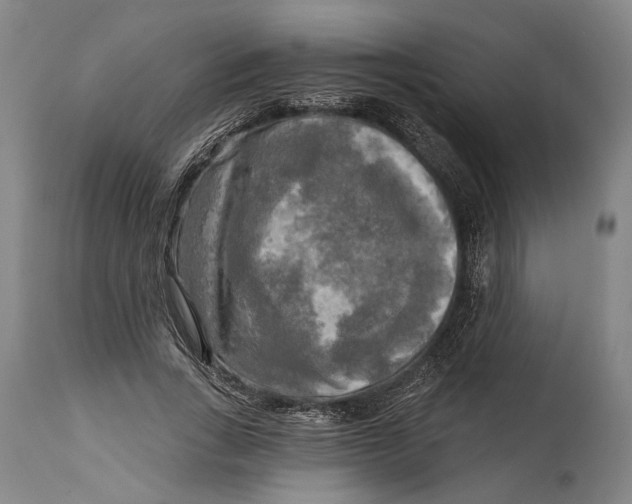 X0000114650735200911101320