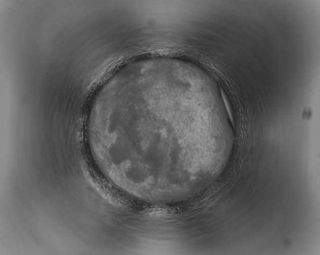 X0000114650738200911101320