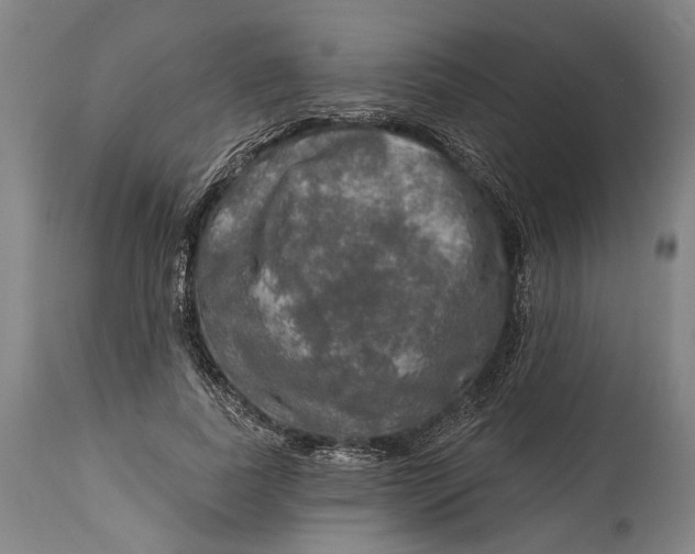 X0000114650739200911101320