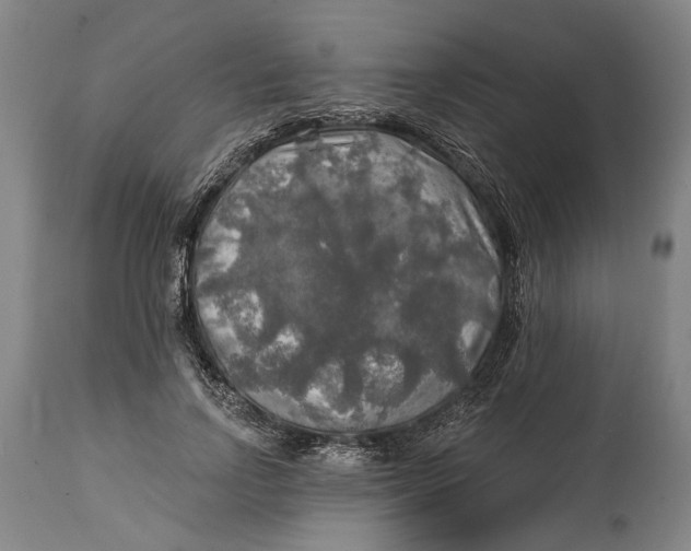 X0000114650742200911101320