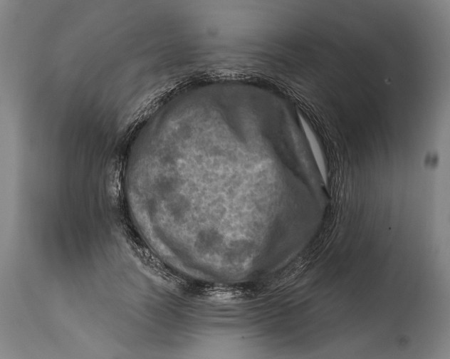 X0000114650746200911101320