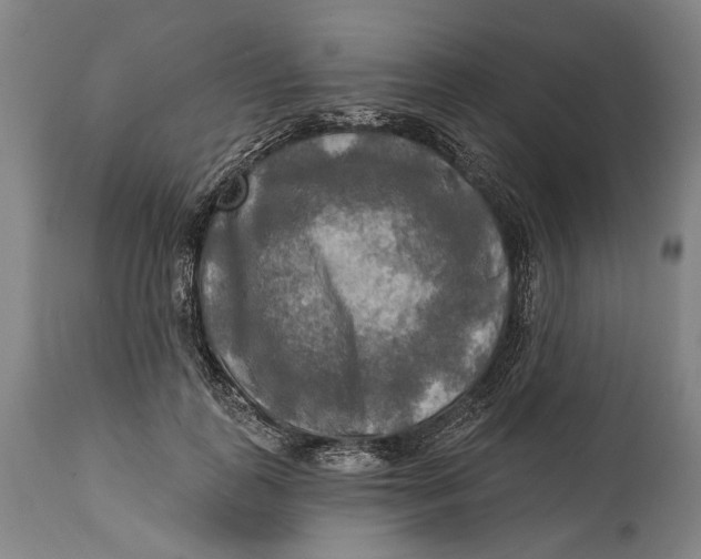 X0000114650747200911101320