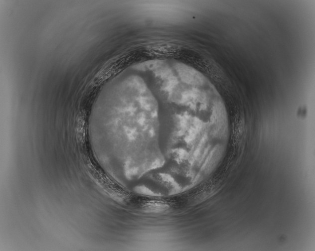 X0000114650749200911101320