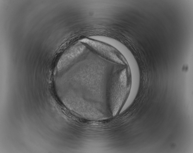 X0000114650750200911101320