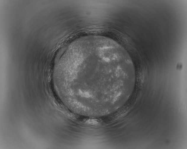 X0000114650751200911101320