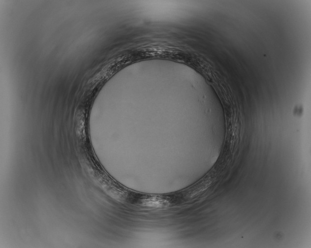 X0000114650754200911101320