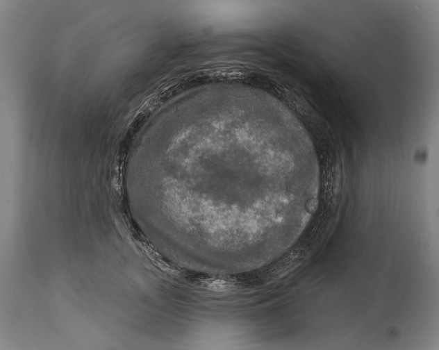 X0000114650755200911101320