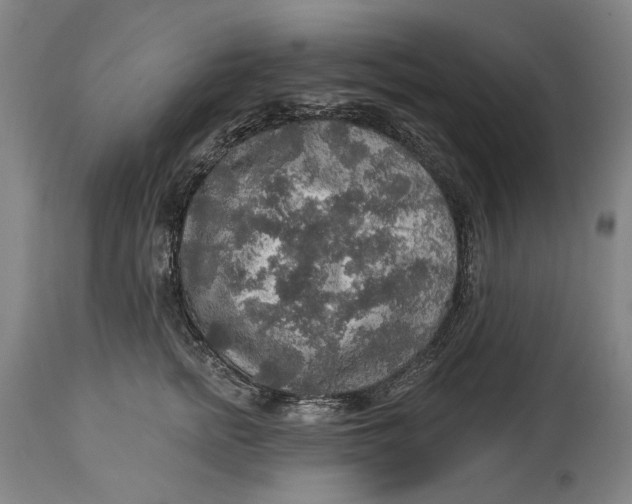 X0000114650758200911101320