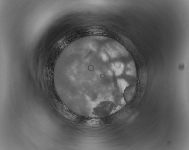 X0000114650761200911101320