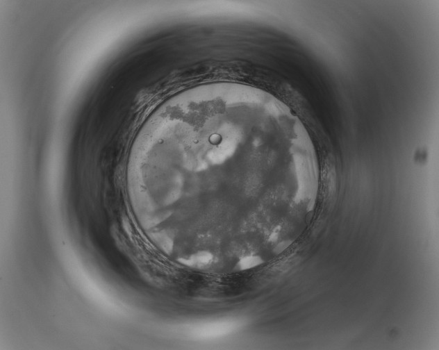 X0000114650765200911101320