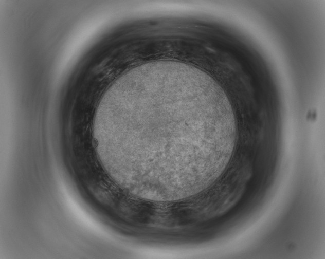 X0000114650766200911101320