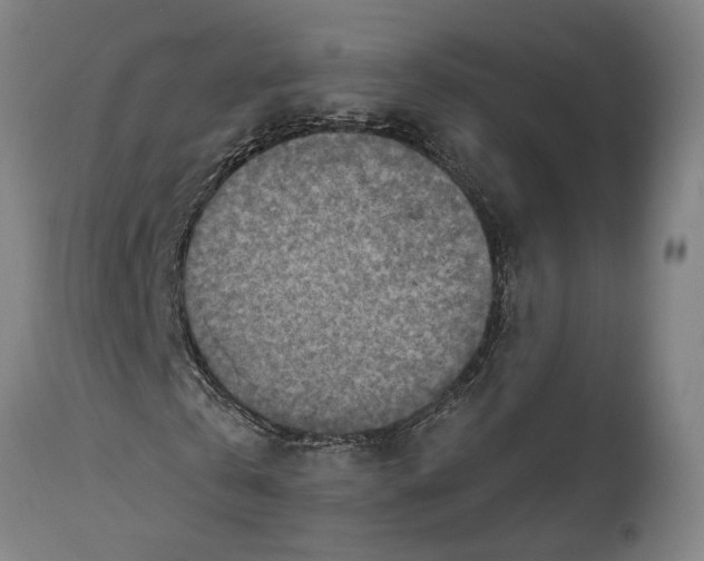 X0000114650769200911101320