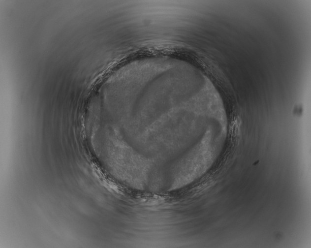 X0000114650772200911101320