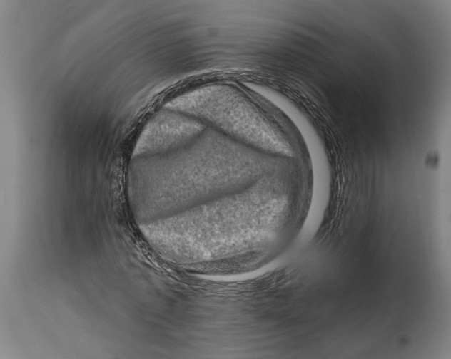 X0000114650773200911101320